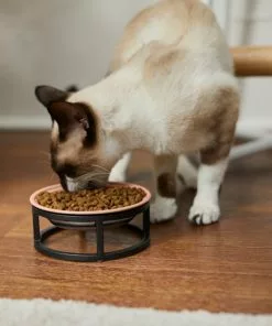 Frisco Paw Print Elevated Stainless Steel Dog & Cat Bowl 12 Frisco Paw Print Elevated Stainless Steel Dog & Cat Bowl -The Frisco Store 277513 PT3. SY630 V1630348076