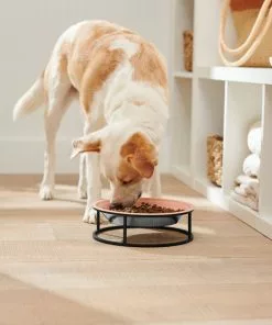 Frisco Elevated Non-skid Stainless Steel Dog & Cat Bowl -The Frisco Store 277523 PT2. SY630 V1630346993