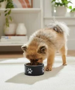 Frisco Paw Print Non-Skid Stainless Steel Dog & Cat Bowl -The Frisco Store 277541 PT2. SY630 V1630346506