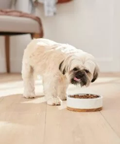 Frisco Marble Design Stainless Steel Dog & Cat Bowl with Wooden Base -The Frisco Store 277554 PT2. SY630 V1630346875