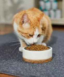 Frisco Marble Design Stainless Steel Dog & Cat Bowl with Wooden Base -The Frisco Store 277554 PT3. SY630 V1630347923