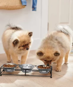 Frisco Straight Triple Feeder Stainless Steel Dog & Cat Bowl -The Frisco Store 277568 PT2. SY630 V1630346795
