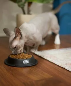 Frisco Fish Bone Print Non-Skid Stainless Steel Cat Bowl -The Frisco Store 277582 PT3. SY630 V1630348120