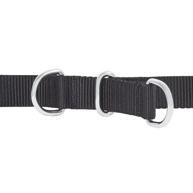 Frisco Basic No Pull Harness 5 Frisco Basic No Pull Harness - Image 3