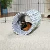Frisco Small Pet Geometric Crinkle Plush Tunnel 2 Frisco Small Pet Geometric Crinkle Plush Tunnel -The Frisco Store 278125 MAIN. SY630 V1629465653
