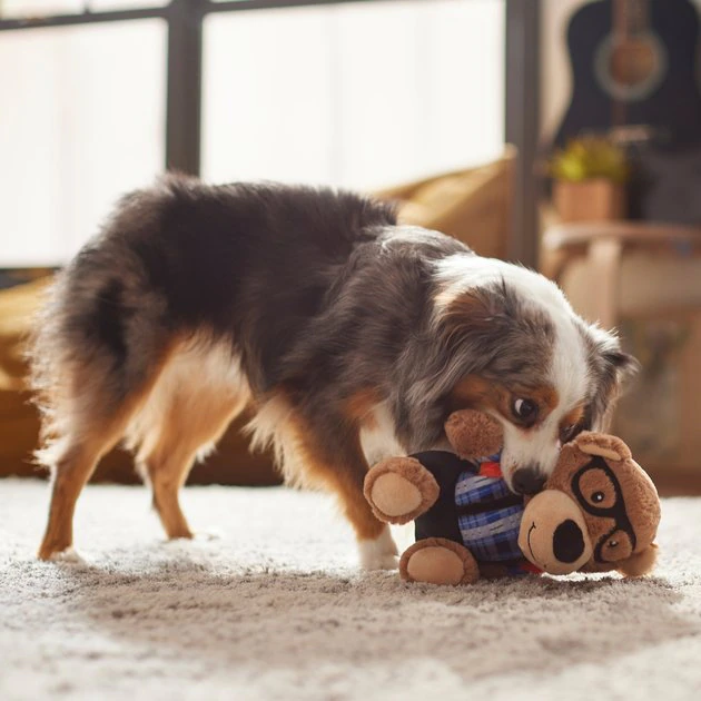 Frisco Bear Plush Squeaky Dog Toy 5 Frisco Bear Plush Squeaky Dog Toy - Image 3