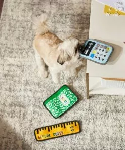 Frisco Essentials Flat Plush Squeaky Dog Toy, 3 count 7 Frisco Essentials Flat Plush Squeaky Dog Toy, 3 count -The Frisco Store 279441 PT3. SY630 V1628191301