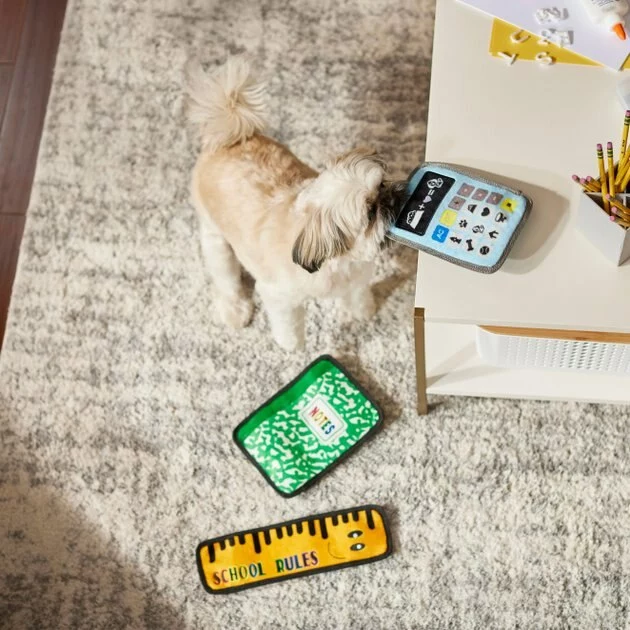 Frisco Essentials Flat Plush Squeaky Dog Toy, 3 count 5 Frisco Essentials Flat Plush Squeaky Dog Toy, 3 count - Image 3