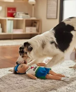 Frisco Gym Teacher Plush Squeaky Dog Toy -The Frisco Store 279447 PT3. SY630 V1628191161