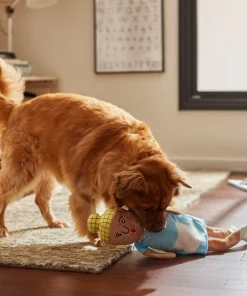 Frisco School Lunch Lady Plush Squeaky Dog Toy 7 Frisco School Lunch Lady Plush Squeaky Dog Toy -The Frisco Store 279449 PT3. SY630 V1628191320