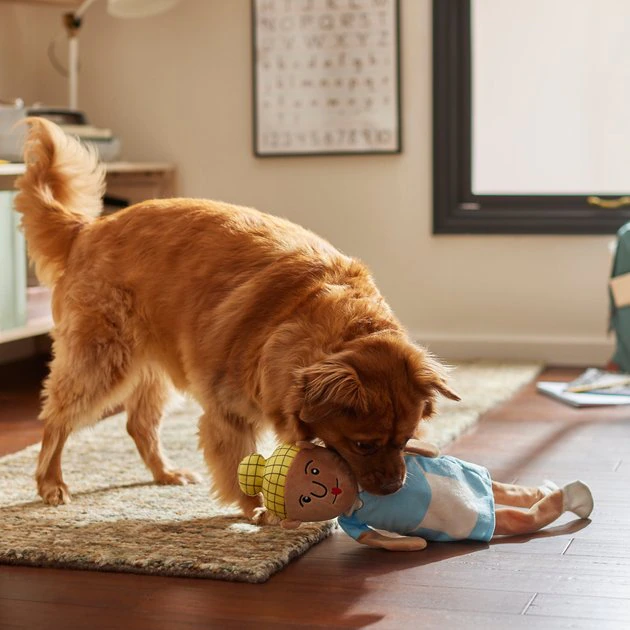 Frisco School Lunch Lady Plush Squeaky Dog Toy 5 Frisco School Lunch Lady Plush Squeaky Dog Toy - Image 3