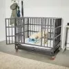 Frisco Ultimate Foldable & Stackable Heavy Duty Steel Metal Single Door Dog Crate -The Frisco Store 280102 MAIN. SY630 V1632851483