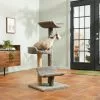 Frisco 45-in Real Carpet Cat Tree, Gray -The Frisco Store 282761 MAIN. SY630 V1623273794