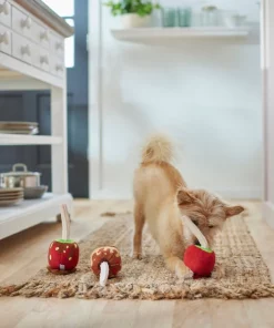 Frisco Candy Apples Plush Squeaky Dog Toy, 3 count 7 Frisco Candy Apples Plush Squeaky Dog Toy, 3 count -The Frisco Store 285621 PT3. SY630 V1629724890