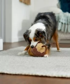 Frisco Fall Acorn Plush Squeaky Dog Toy -The Frisco Store 285623 PT3. SY630 V1629725222