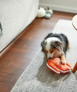 Frisco Sweater Weather Flat Plush Squeaky Dog Toy -The Frisco Store 285635 PT3. SY630 V1629725212