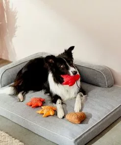 Frisco Fall Leaves Plush Squeaky Dog Toy, 4 count -The Frisco Store 285637 PT3. SY630 V1629725195