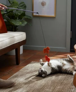 Frisco Fall Acorn & Leaves Teaser Cat Toy with Catnip -The Frisco Store 285651 PT3. SY630 V1629725347