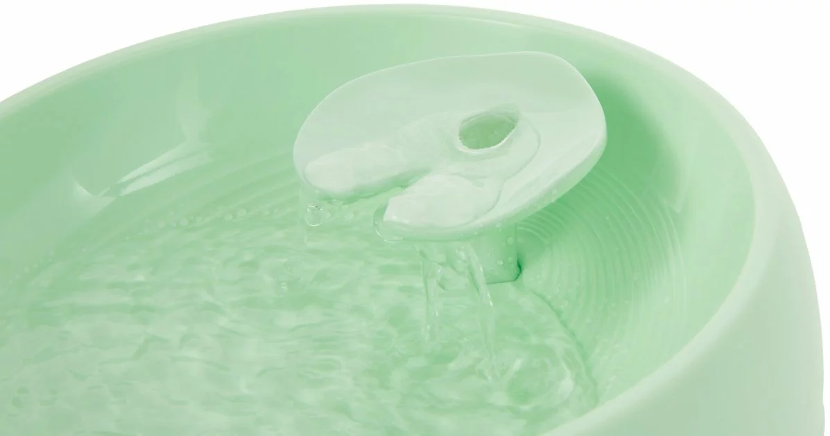 Frisco Whimsical Leaf Round Dog & Cat Fountain, 50-oz, Mint Green 5 Frisco Whimsical Leaf Round Dog & Cat Fountain, 50-oz, Mint Green - Image 3