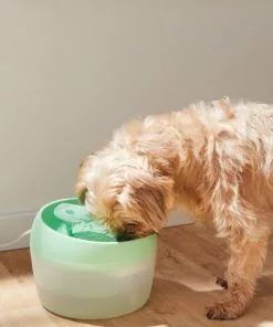 Frisco Whimsical Leaf Round Dog & Cat Fountain, 50-oz, Mint Green 11 Frisco Whimsical Leaf Round Dog & Cat Fountain, 50-oz, Mint Green -The Frisco Store 285758 PT4. SY630 V1623428580