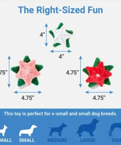 Frisco Flowers Plush Squeaky Dog Toy, 3 count -The Frisco Store 287161 PT1. SY630 V1637787689