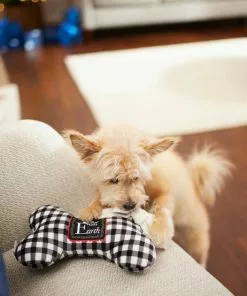Frisco Holiday "All Is Bright" Reversible Bone Plush Squeaky Dog Toy -The Frisco Store 287191 PT3. SY630 V1632773193