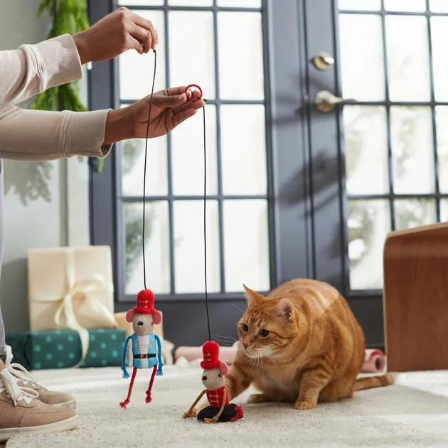 Frisco Nutcracker & Ballerina Bouncy Mouse Teaser Cat Toy with Catnip, 2 count 5 Frisco Nutcracker & Ballerina Bouncy Mouse Teaser Cat Toy with Catnip, 2 count - Image 3