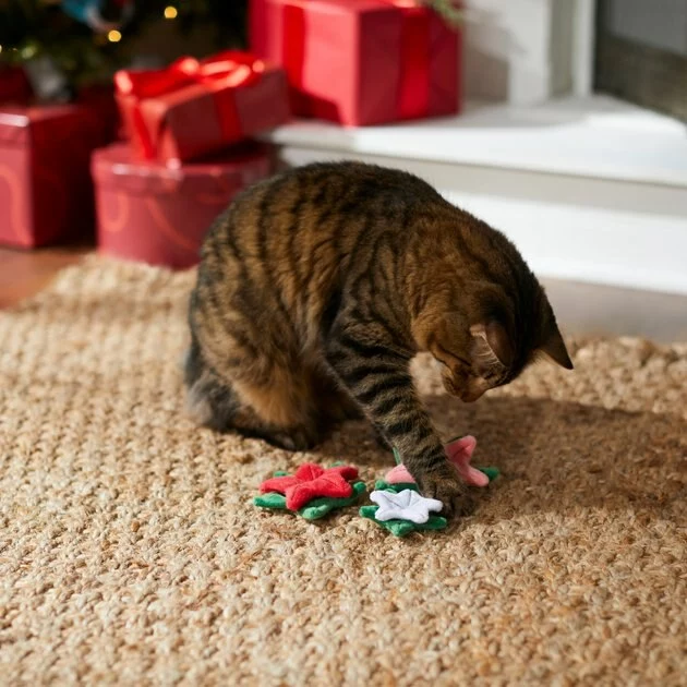 Frisco Flowers Plush Cat Toy with Catnip, 3 count 5 Frisco Flowers Plush Cat Toy with Catnip, 3 count - Image 3