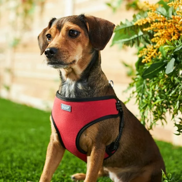 Frisco Padded Step-In Harness 7 Frisco Padded Step-In Harness - Image 5