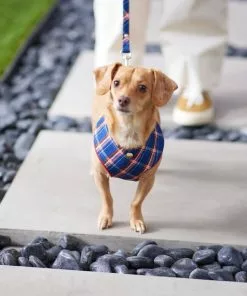 Frisco Fashion Over-The-Head Harness, Blue Plaid -The Frisco Store 287470 PT8. SY630 V1632316703