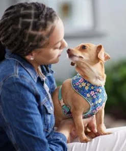 Frisco Fashion Over-The-Head Harness, Tropical Floral -The Frisco Store 287471 PT8. SY630 V1632316061