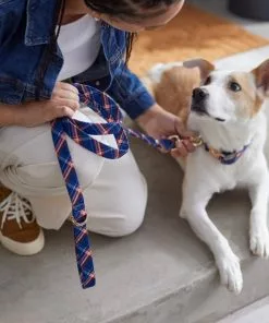 Frisco Fashion Leash, Brown Plaid 9 Frisco Fashion Leash, Brown Plaid -The Frisco Store 287491 PT8. SY630 V1632317010