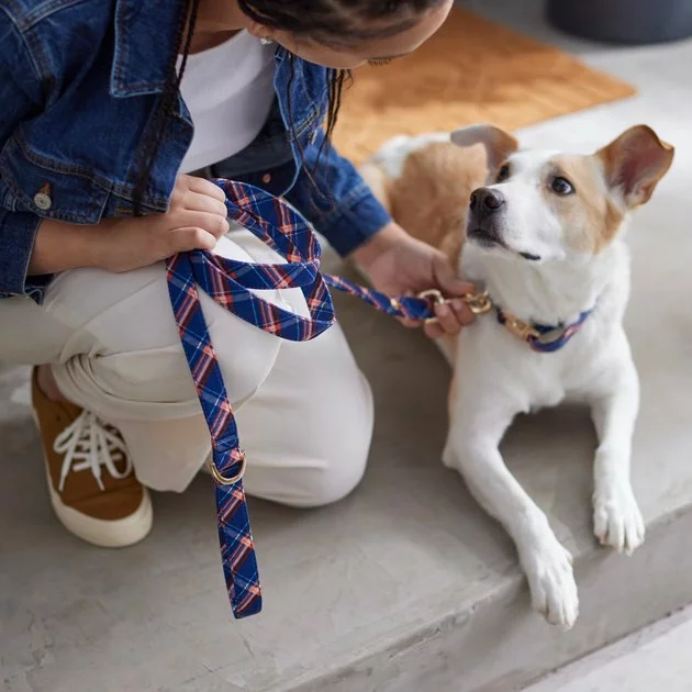 Frisco Fashion Leash, Brown Plaid 6 Frisco Fashion Leash, Brown Plaid - Image 4