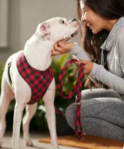 Frisco Fashion Leash, Buffalo Plaid -The Frisco Store 287498 PT8. SY630 V1632315183