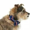 Frisco Fashion Bow, Blue Plaid, XS/SM -The Frisco Store 287528 MAIN. SY630 V1632279078