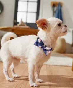 Frisco Fashion Bow, Pink Plaid -The Frisco Store 287531 PT8. SY630 V1632315820