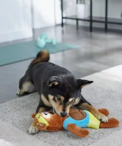 Frisco Fitness Bear Reversible Plush Squeaky Dog Toy 9 Frisco Fitness Bear Reversible Plush Squeaky Dog Toy -The Frisco Store 288897 PT3. SY630 V1638291713