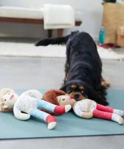 Frisco Dance Girls Plush Squeaky Dog Toy, 2 count 7 Frisco Dance Girls Plush Squeaky Dog Toy, 2 count -The Frisco Store 288899 PT3. SY630 V1638288432