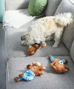 Frisco Yoga Bear Plush Squeaky Dog Toy, 3 count -The Frisco Store 288905 PT3. SY630 V1638291398
