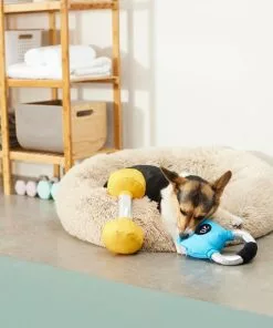 Frisco Dumbell & Kettleball Plush Squeaky Dog Toy, 2 count -The Frisco Store 288919 PT3. SY630 V1638288628