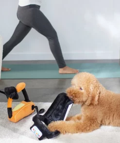 Frisco Treadmill & Bike Plush Squeaky Dog Toy, 2 count -The Frisco Store 288921 PT3. SY630 V1638290517