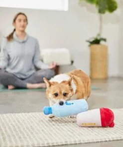 Frisco Protein & Water Bottle Cruncher Dog Toy, 2 count -The Frisco Store 288927 PT3. SY630 V1638291847