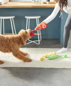 Frisco Juice Cleanse Plush Squeaky Dog Toy, 3 count -The Frisco Store 288929 PT3. SY630 V1638289348