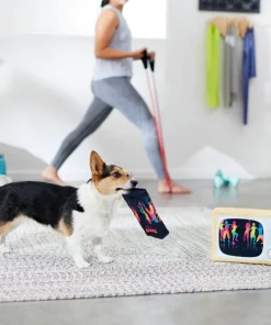 Frisco TV & VHS Tape Plush Squeaky Dog Toy, 2 count -The Frisco Store 288935 PT3. SY630 V1638291435