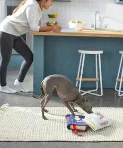 Frisco Cookbooks Plush Squeaky Dog Toy, 2 count -The Frisco Store 288937 PT3. SY630 V1638287852