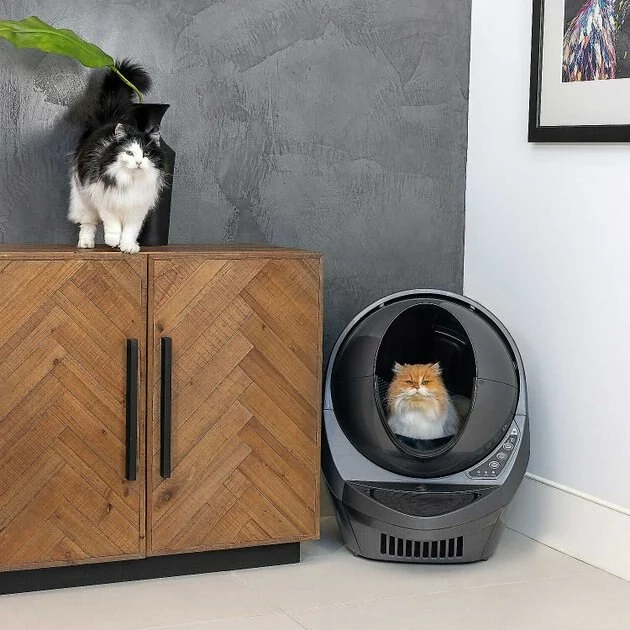 Litter-Robot||Frisco Litter-Robot WiFi Enabled Automatic Self-Cleaning Cat Litter Box + Frisco Multi-Cat Unscented Clumping Clay Cat Litter 8 Litter-Robot||Frisco Litter-Robot WiFi Enabled Automatic Self-Cleaning Cat Litter Box + Frisco Multi-Cat Unscented Clumping Clay Cat Litter - Image 6