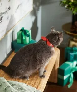 Frisco Holiday Hombre Cat Collar With Bow, Red, 8 - 12 inches, 3/8-in wide -The Frisco Store 289696 PT8. SY630 V1632189993