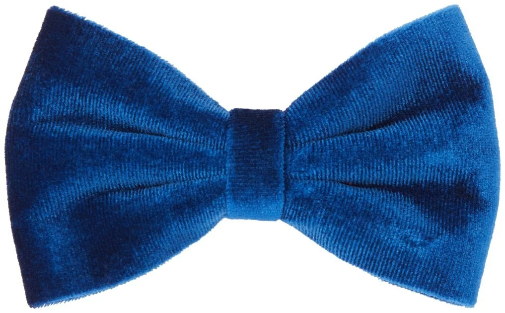 Frisco Velvet Dog Collar With Removeable Velvet Bow 6 Frisco Velvet Dog Collar With Removeable Velvet Bow - Image 4