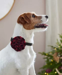 Frisco Removeable Collar Flower, Buffalo Check -The Frisco Store 289802 PT8. SY630 V1632187642