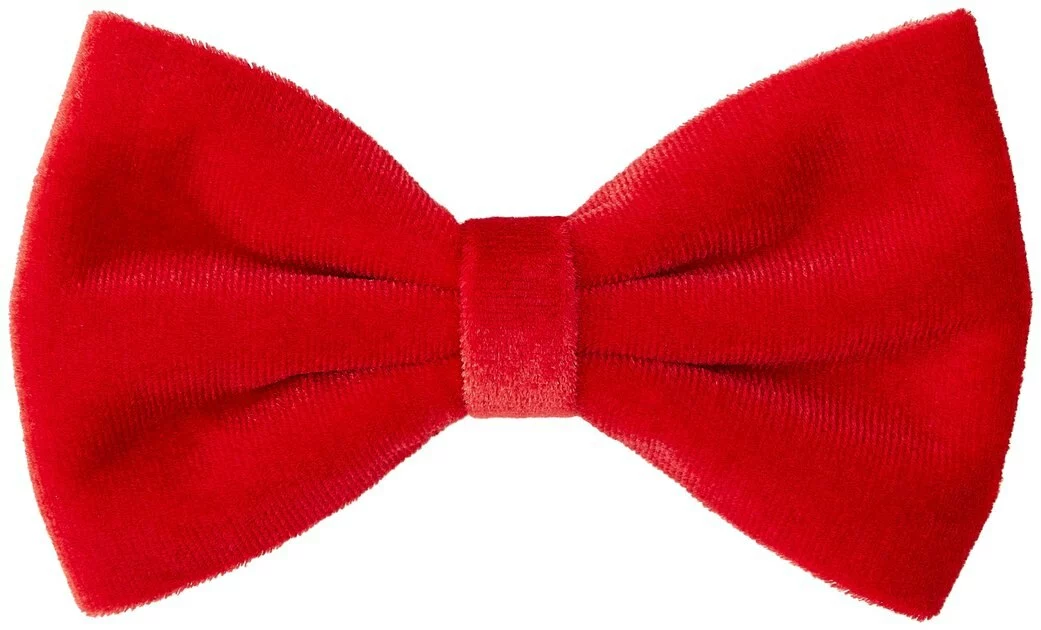 Frisco Removeable Velvet Collar Bow 4 Frisco Removeable Velvet Collar Bow - Image 2